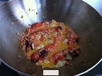 西红柿蛋炒饭的做法步骤8