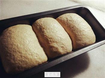 全麦土司面包的做法步骤7
