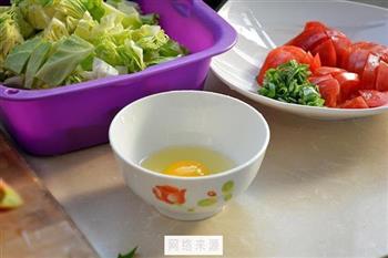 清炒圆白菜的做法步骤2