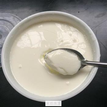原味酸奶的做法图解3