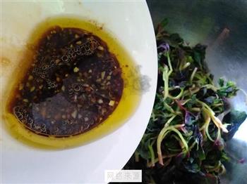橄榄油拌苋菜的做法图解7