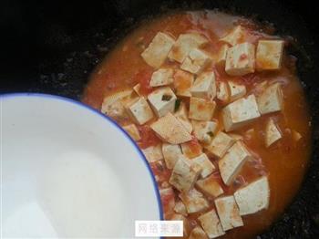 西红柿炖豆腐的做法步骤9