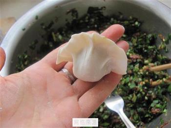 韭菜猪肉水饺的做法步骤10