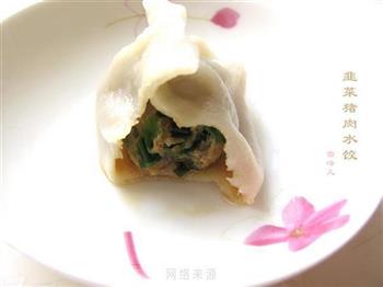 韭菜猪肉水饺的做法步骤13