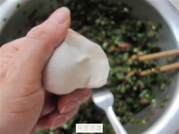 韭菜猪肉水饺的做法步骤9