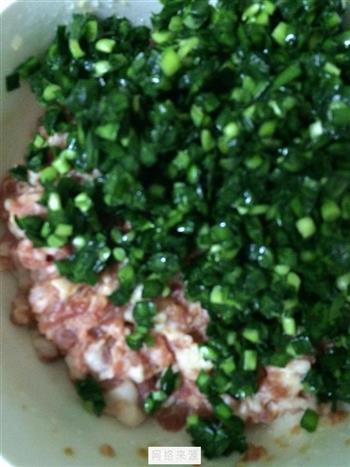 鲜肉韭菜饺子的做法步骤2