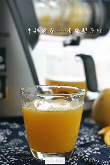 香橙梨子汁的做法图解6
