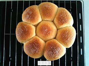 红豆沙面包的做法步骤12