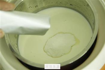 欧式西瓜芒果酸奶的做法步骤12