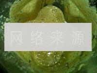 鲜花生红枣浓浆的做法图解11
