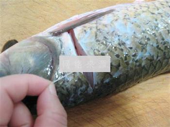 红烧草鱼的做法步骤2