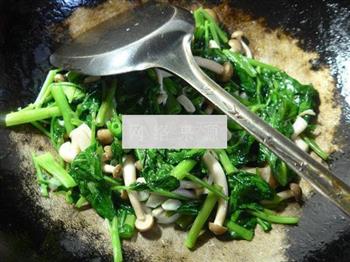 蟹味菇炒空心菜的做法步骤8