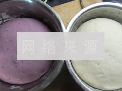 紫薯银丝卷的做法步骤6