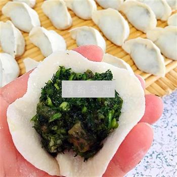 茴香猪肉饺子的做法步骤5