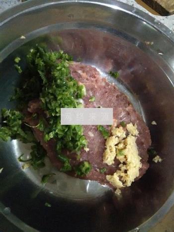 鲜茴香猪肉水饺的做法图解5