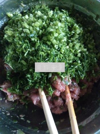 鲜茴香猪肉水饺的做法图解6