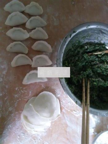 鲜茴香猪肉水饺的做法图解7