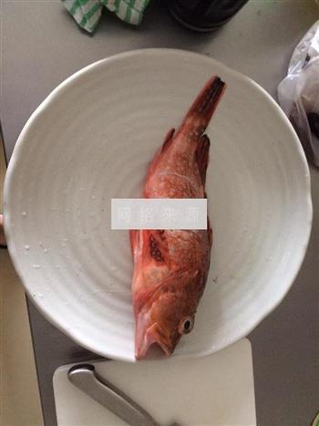 清蒸红鲷鱼.的做法步骤1