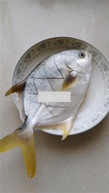 清蒸金鲳鱼的做法图解2