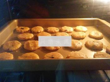 海苔肉松饼干的做法图解10