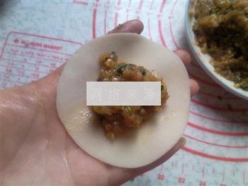 萝卜猪肉水饺的做法步骤9