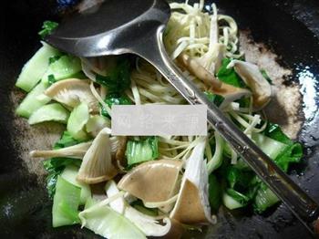 猪肚菇青菜汤面的做法步骤4