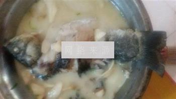 杏鲍菇鲫鱼汤的做法步骤5