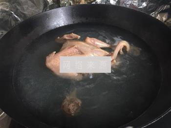 阿胶乳鸽养生汤的做法步骤3