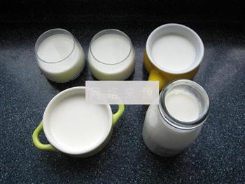 自制酸奶的做法步骤6