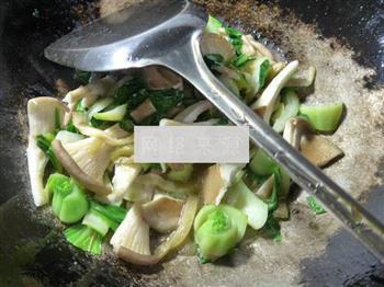 榨菜丝猪肚菇炒青菜的做法步骤7