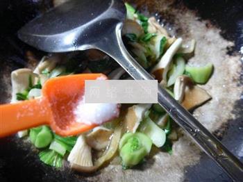 榨菜丝猪肚菇炒青菜的做法步骤9