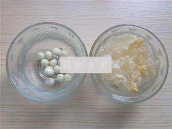 皂角米银耳莲子汤的做法步骤3
