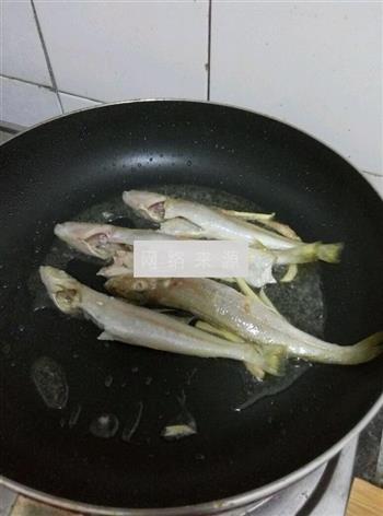 芹菜沙丁鱼的做法图解3