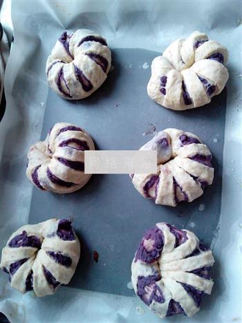 花式紫薯面包卷的做法步骤8