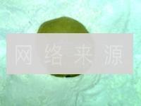 广式椰心莲蓉月饼的做法步骤13