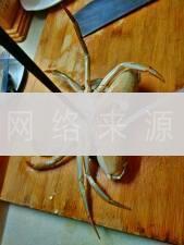 咖喱彩椒炒青蟹的做法图解2