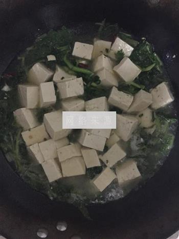苔菜炖豆腐的做法图解10