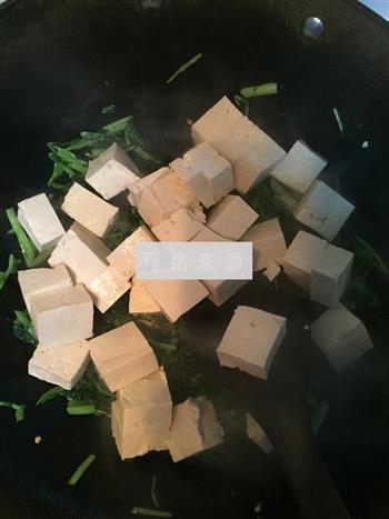 苔菜炖豆腐的做法图解9