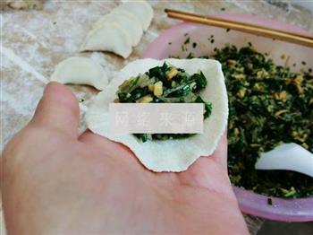 韭菜粉丝麻叶子扁食的做法步骤16