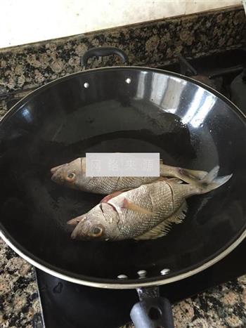 清炖鱼汤的做法步骤3