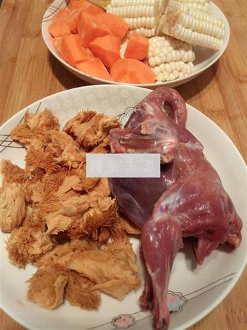 猴头鸽子玉米汤的做法步骤1