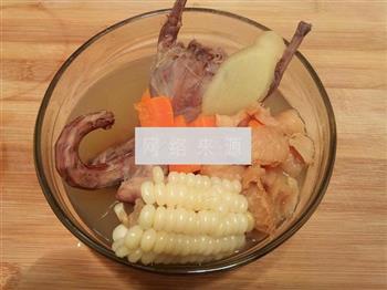 猴头鸽子玉米汤的做法图解11