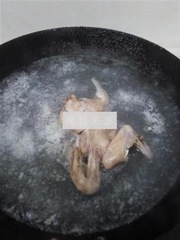 猴头鸽子玉米汤的做法步骤3