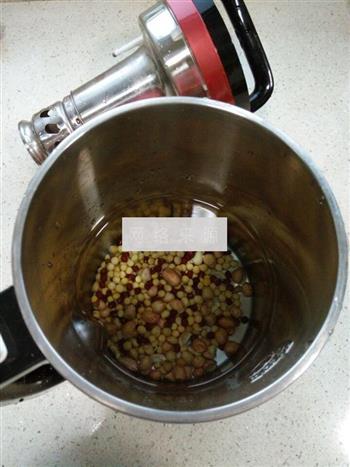花生红豆豆浆的做法步骤3