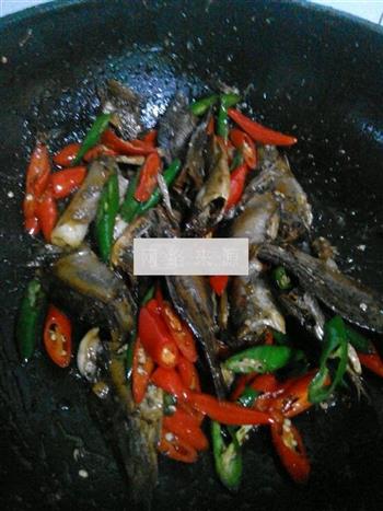 青红椒炒小干鱼的做法步骤8