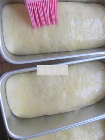 蜜红豆面包的做法步骤13
