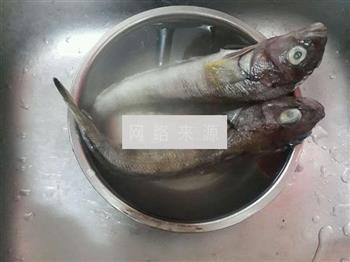 清蒸海黄鱼的做法步骤1