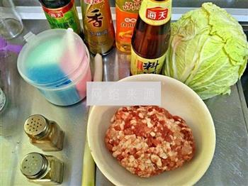 白菜猪肉糜锅贴的做法步骤4