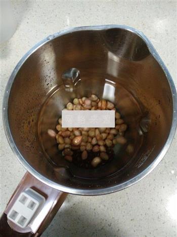 红豆花生浆的做法步骤3