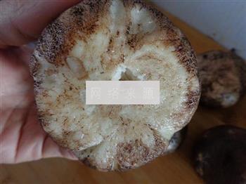 蘑菇豆沙包的做法步骤9